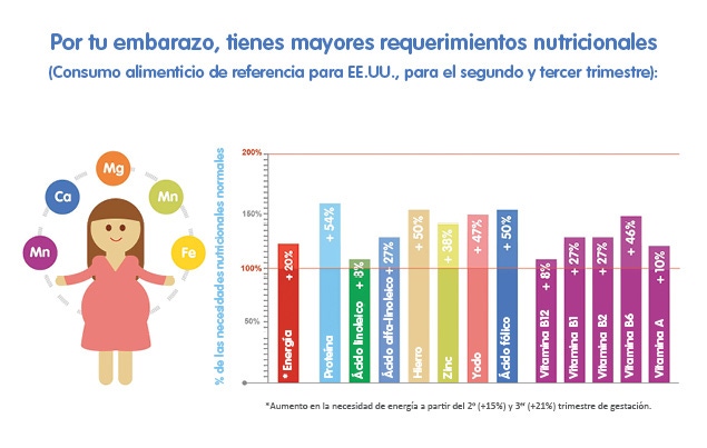 Infografía requerimientos nutricionales en el embarazo